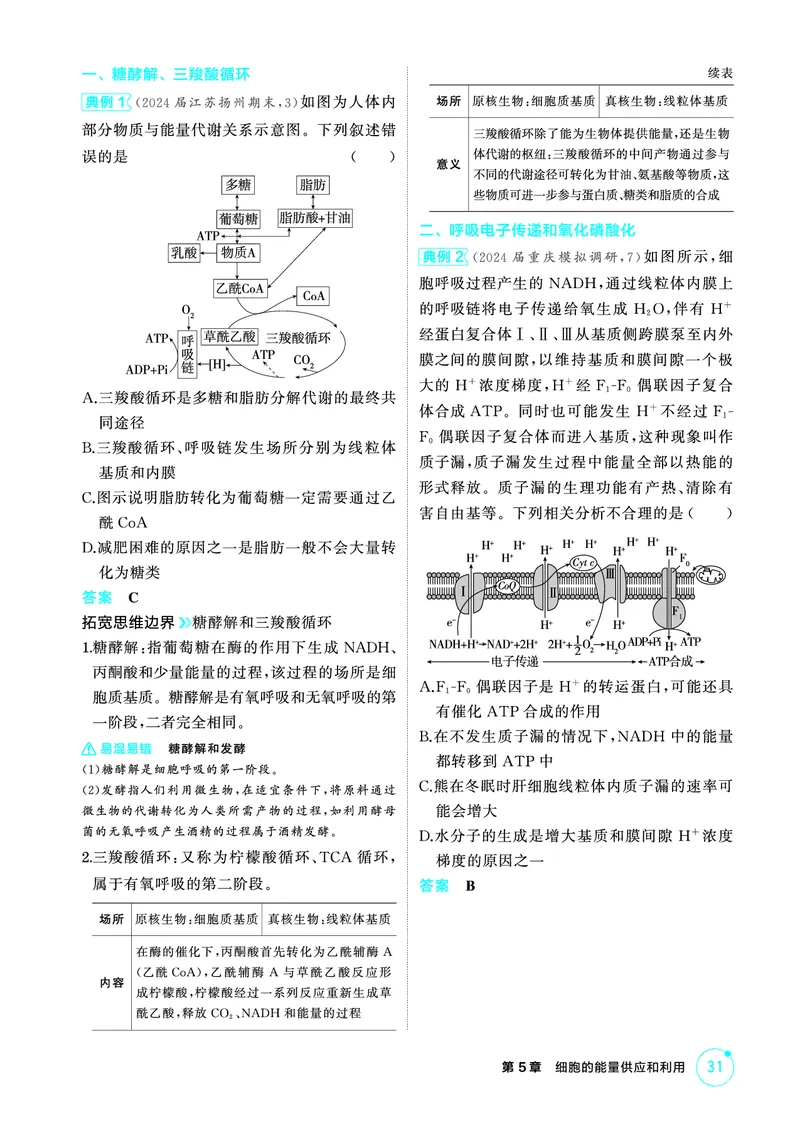 《2_精讲册-第5章细胞的能量供应和利用_2026版教学资源包_202653高考总复习A版_广东版_2026版.广东版.选考总复习.生物.5·3A版_第1部分分子与细胞_第5章细胞的能量供应和利用_4_PDF教参电子书》第9页预览