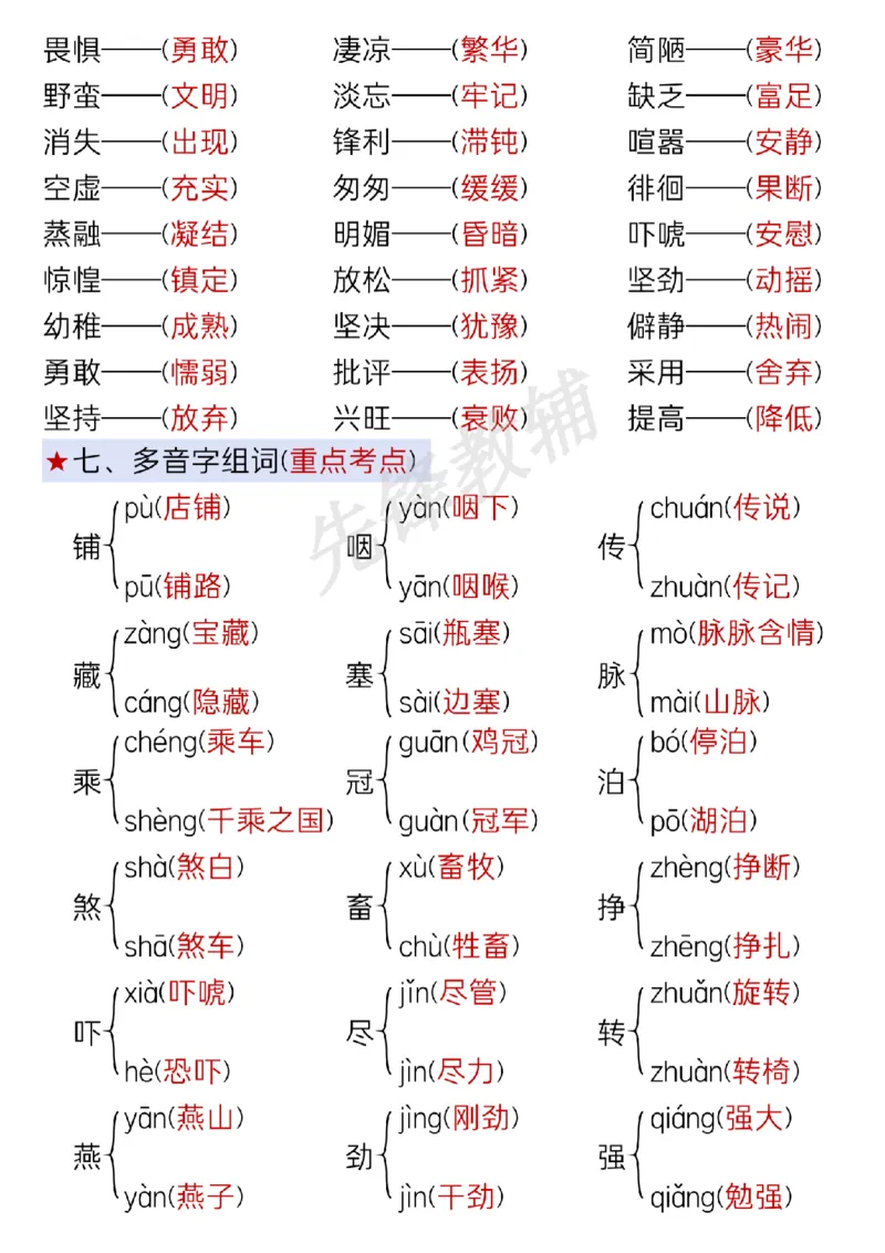《六年级（下）语文期中复习考点通关练习_6年级下册同步教辅_6下-语文_六下语文知识点总结》第5页预览
