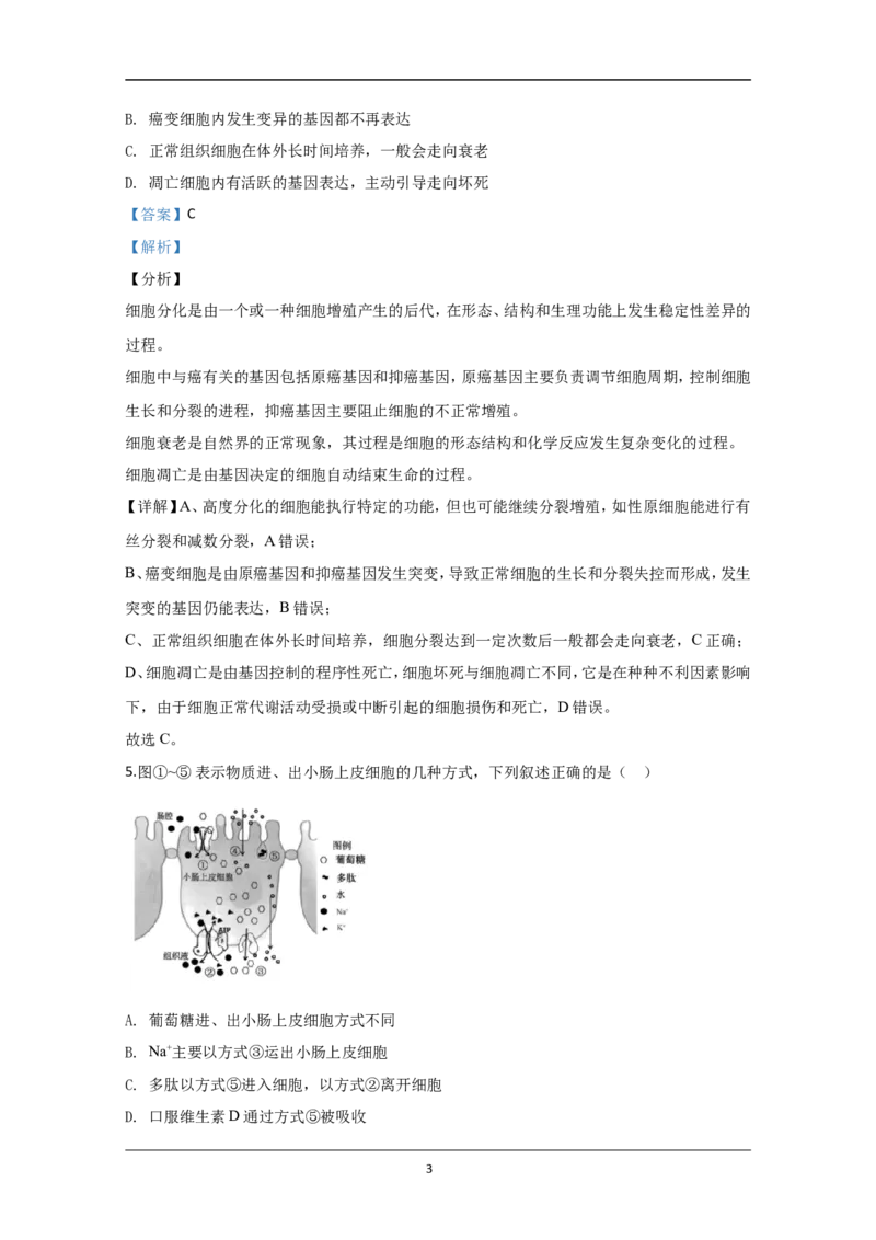 《2020年江苏省高考生物试卷解析版(1)_高考一二三轮复习_生物_2027年高考生物专项_2008年-2026年生物高考真题-G427_2008-2020年高考_地方卷_江苏高考生物07-20_A4word版》第3页预览