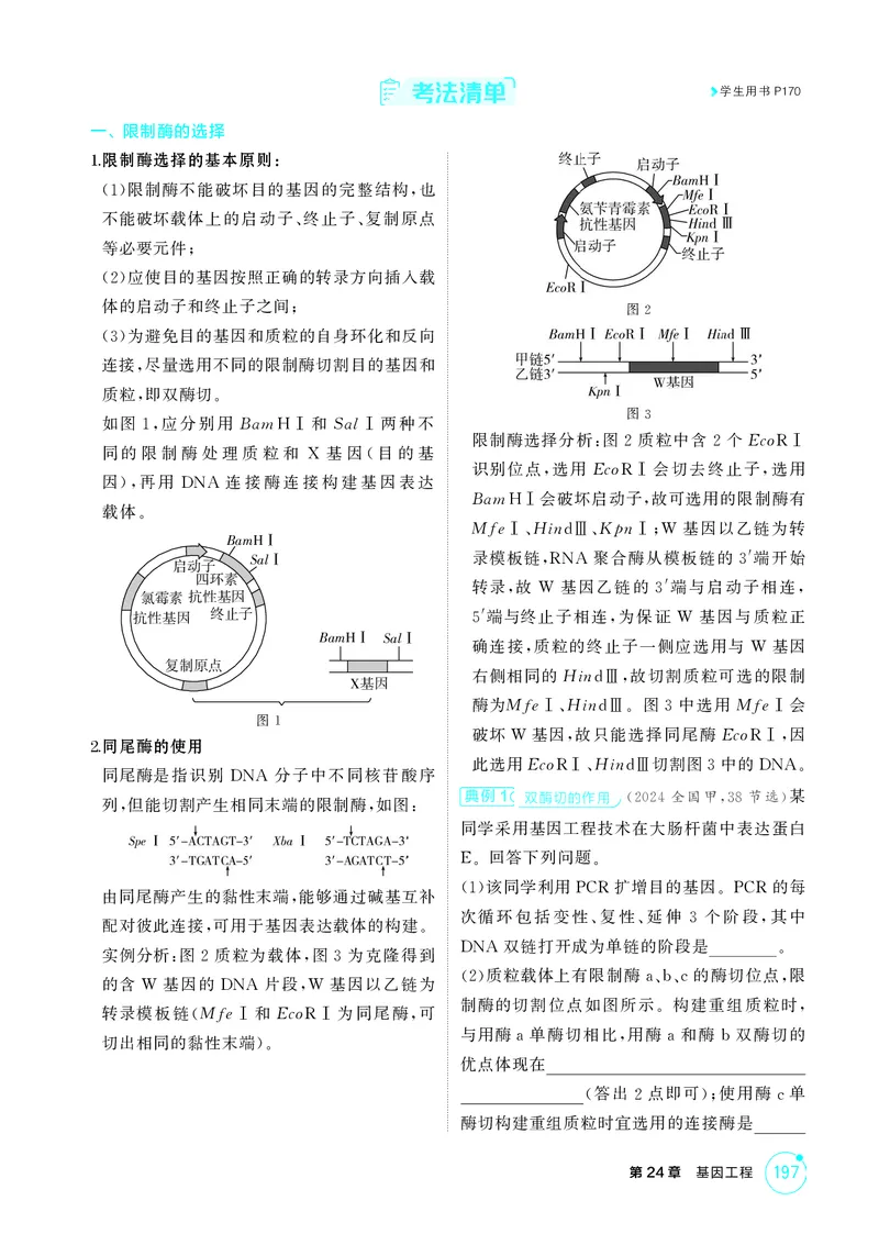 《2_精讲册-第24章基因工程_2026版教学资源包_202653高考总复习A版_湖南版_2026版.湖南版.选考总复习.生物.5·3A版_第5部分生物技术与工程_第24章基因工程_4_PDF教参电子书》第6页预览