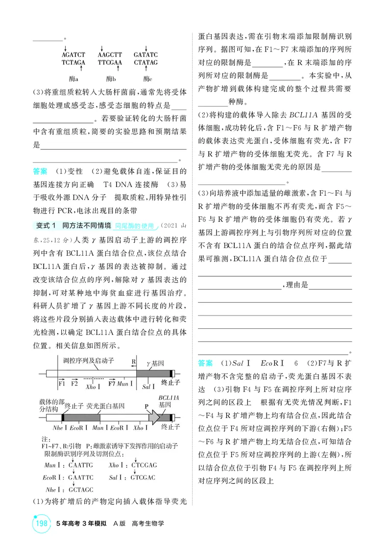 《2_精讲册-第24章基因工程_2026版教学资源包_202653高考总复习A版_湖南版_2026版.湖南版.选考总复习.生物.5·3A版_第5部分生物技术与工程_第24章基因工程_4_PDF教参电子书》第7页预览