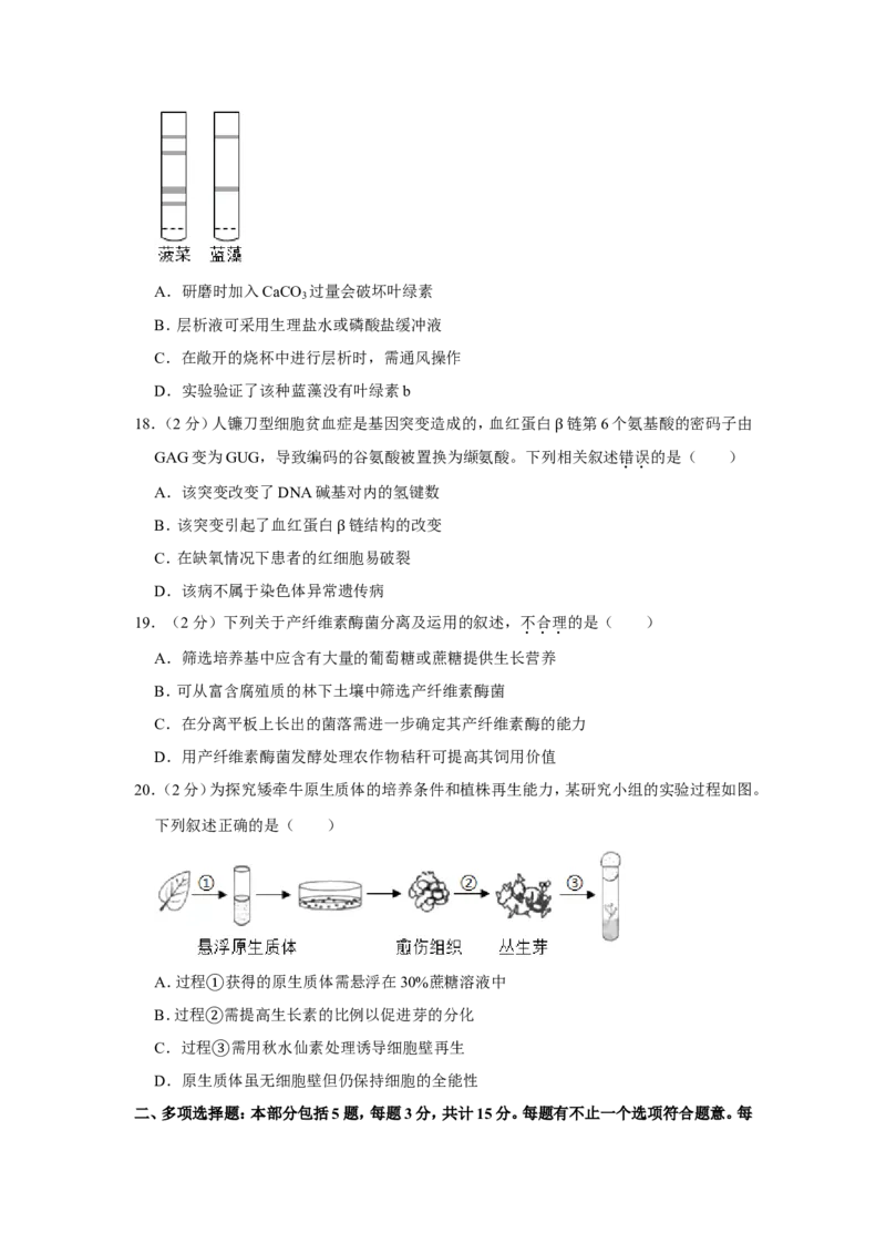 《2019年江苏省高考生物试卷(1)_高考一二三轮复习_生物_2027年高考生物专项_2008年-2026年生物高考真题-G427_2008-2020年高考_地方卷_江苏高考生物07-20_A4word版》第5页预览