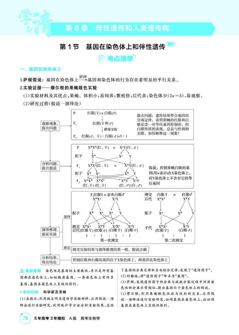 《2_精讲册-第8章伴性遗传和人类遗传病_2026版教学资源包_202653高考总复习A版_广东版_2026版.广东版.选考总复习.生物.5·3A版_第2部分遗传与进化_第8章伴性遗传和人类遗传病_4_PDF教参电子书》第1页预览