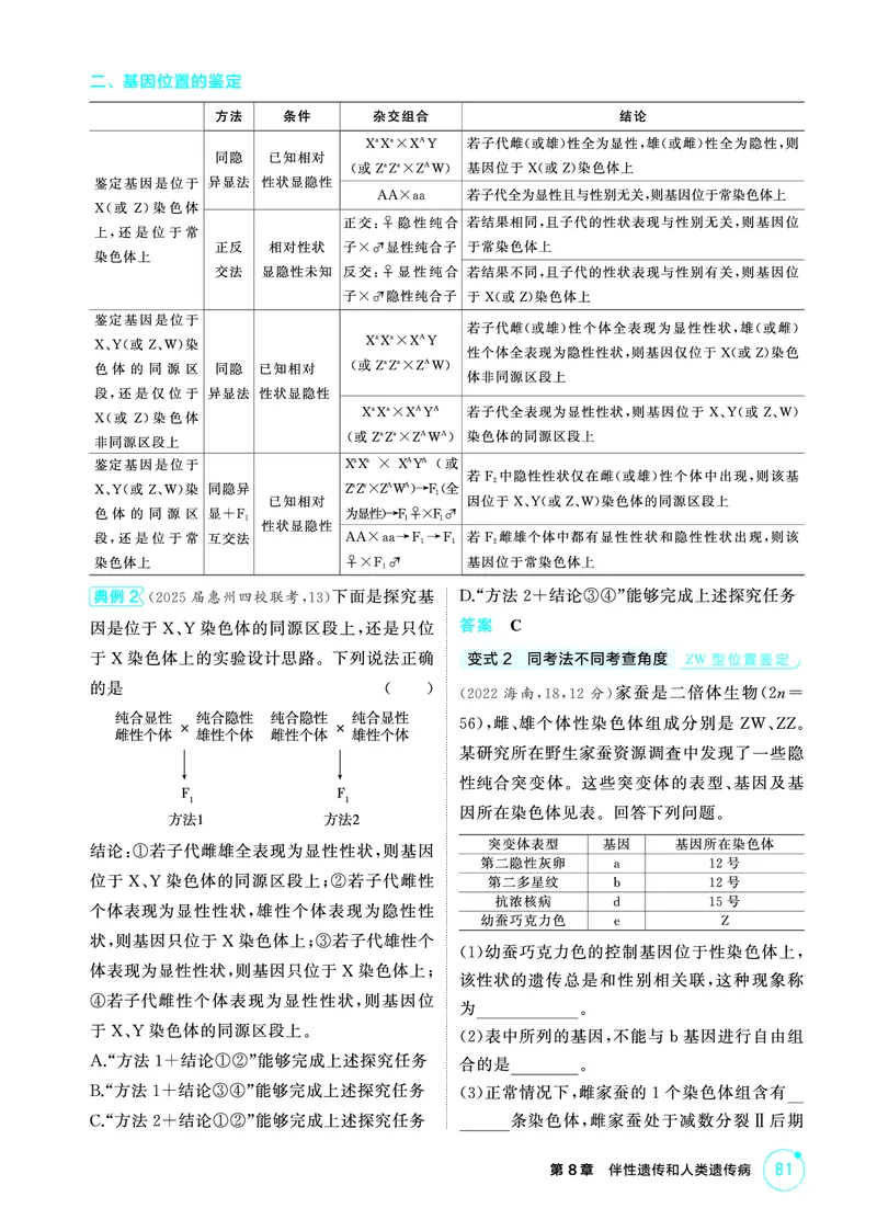 《2_精讲册-第8章伴性遗传和人类遗传病_2026版教学资源包_202653高考总复习A版_广东版_2026版.广东版.选考总复习.生物.5·3A版_第2部分遗传与进化_第8章伴性遗传和人类遗传病_4_PDF教参电子书》第4页预览