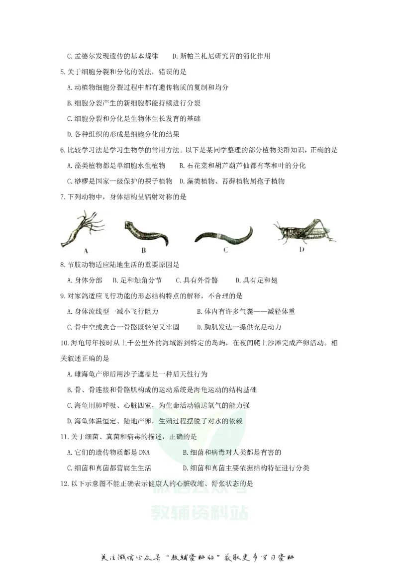 《2018山东省潍坊市中考生物真题及答案_初高中资料库_初中资料库（转存避免链接过期失效）_初中生物》第2页预览