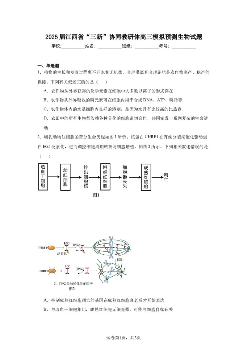 《4_2025届江西省“三新”协同教研体高三模拟预测生物试题_2026版教学资源包_202653高考总复习A版_新高考_生物_教师A版2026年.新高考版.生物.53_优质模拟题精选（Word）_1_资源拓展》第1页预览