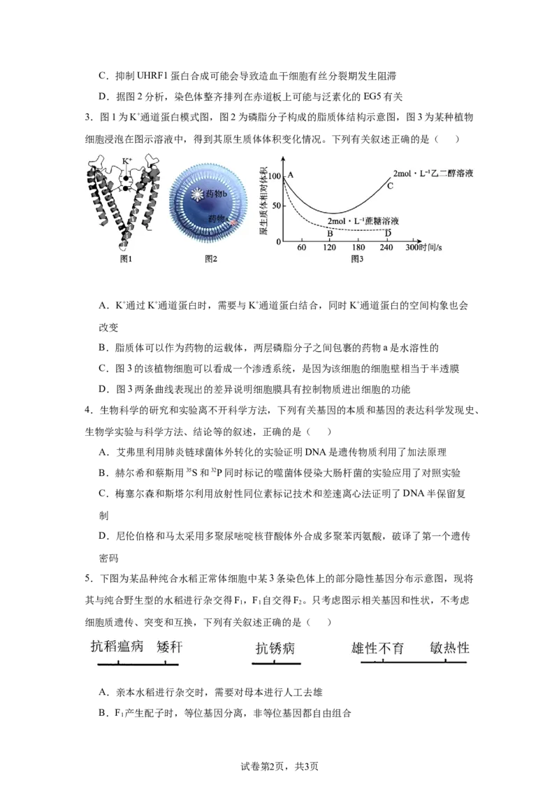 《4_2025届江西省“三新”协同教研体高三模拟预测生物试题_2026版教学资源包_202653高考总复习A版_新高考_生物_教师A版2026年.新高考版.生物.53_优质模拟题精选（Word）_1_资源拓展》第2页预览