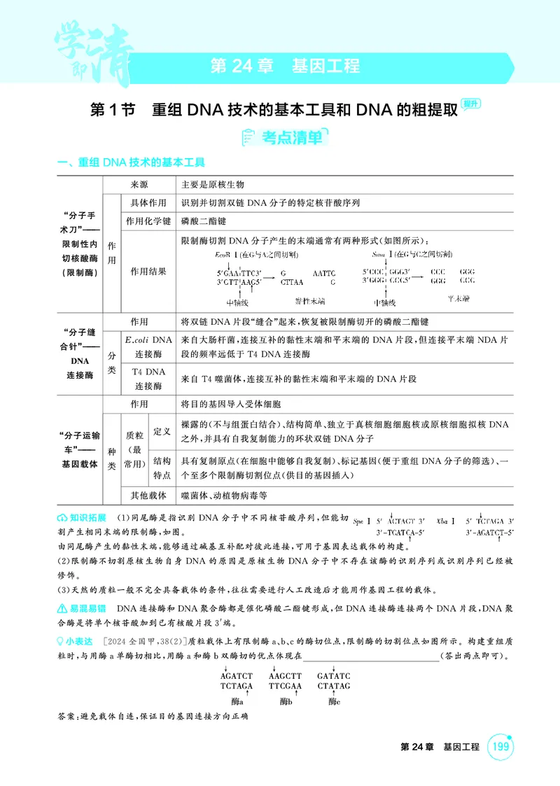 《2_精讲册-第24章基因工程_2026版教学资源包_202653高考总复习A版_广东版_2026版.广东版.选考总复习.生物.5·3A版_第5部分生物技术与工程_第24章基因工程_4_PDF教参电子书》第1页预览