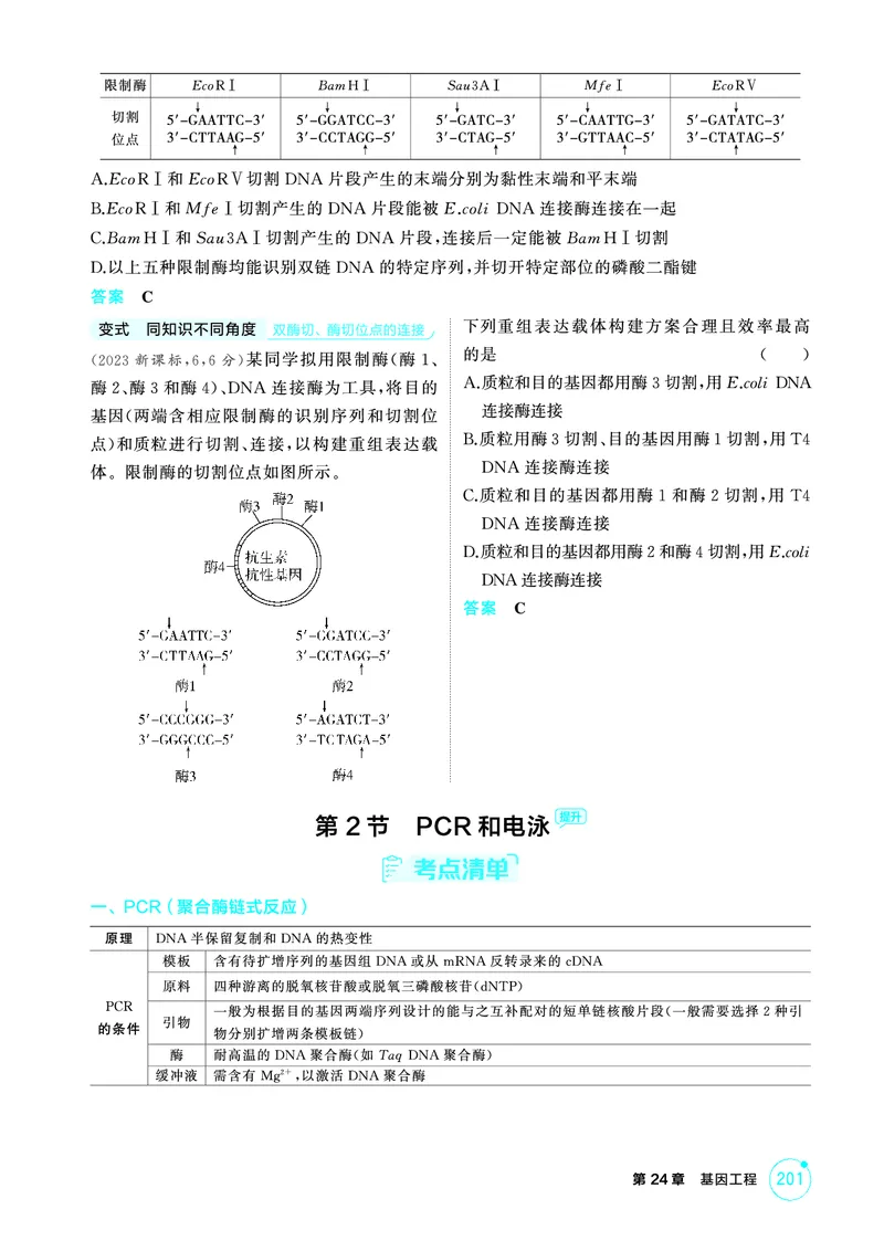 《2_精讲册-第24章基因工程_2026版教学资源包_202653高考总复习A版_广东版_2026版.广东版.选考总复习.生物.5·3A版_第5部分生物技术与工程_第24章基因工程_4_PDF教参电子书》第3页预览