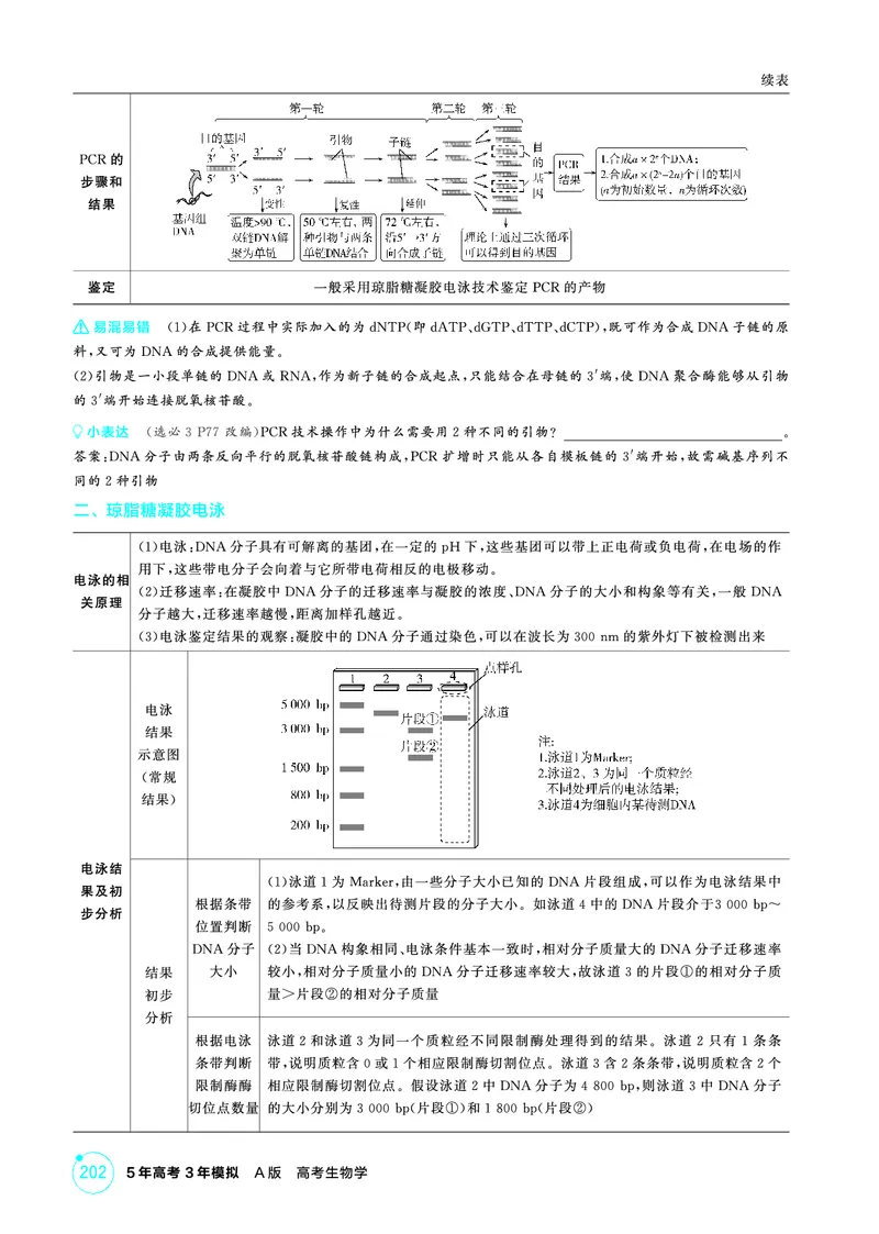 《2_精讲册-第24章基因工程_2026版教学资源包_202653高考总复习A版_广东版_2026版.广东版.选考总复习.生物.5·3A版_第5部分生物技术与工程_第24章基因工程_4_PDF教参电子书》第4页预览