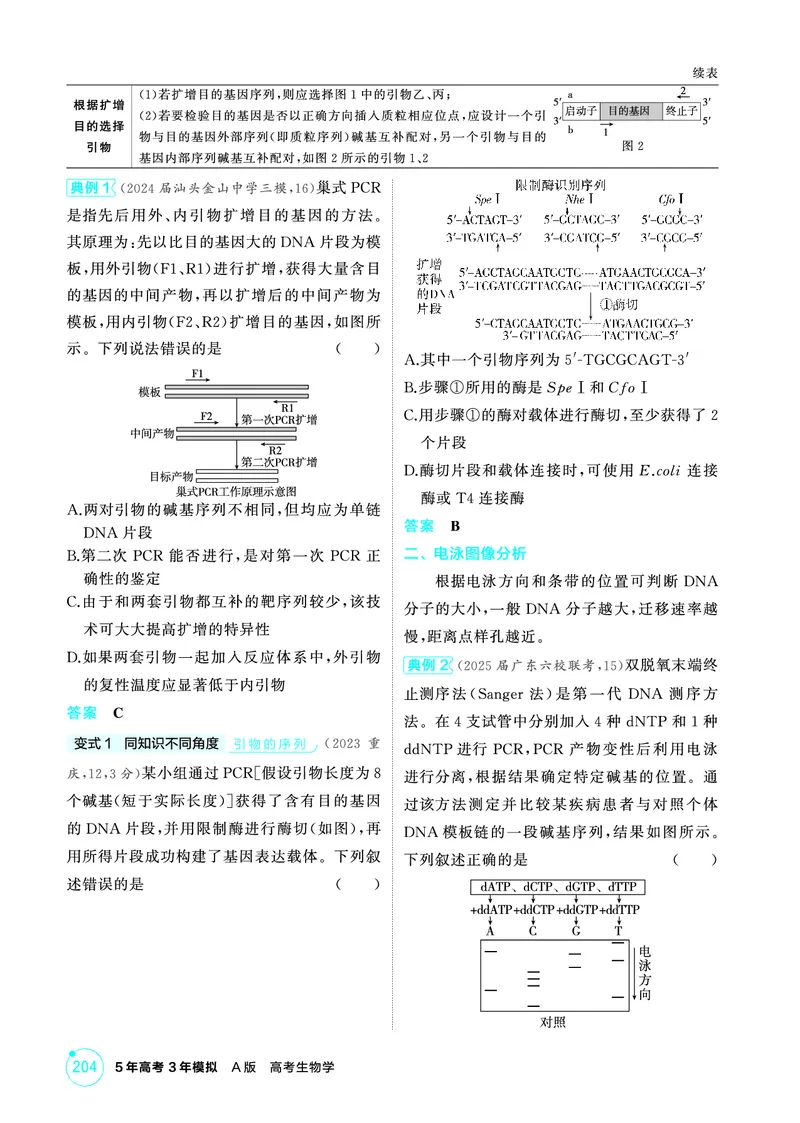 《2_精讲册-第24章基因工程_2026版教学资源包_202653高考总复习A版_广东版_2026版.广东版.选考总复习.生物.5·3A版_第5部分生物技术与工程_第24章基因工程_4_PDF教参电子书》第6页预览