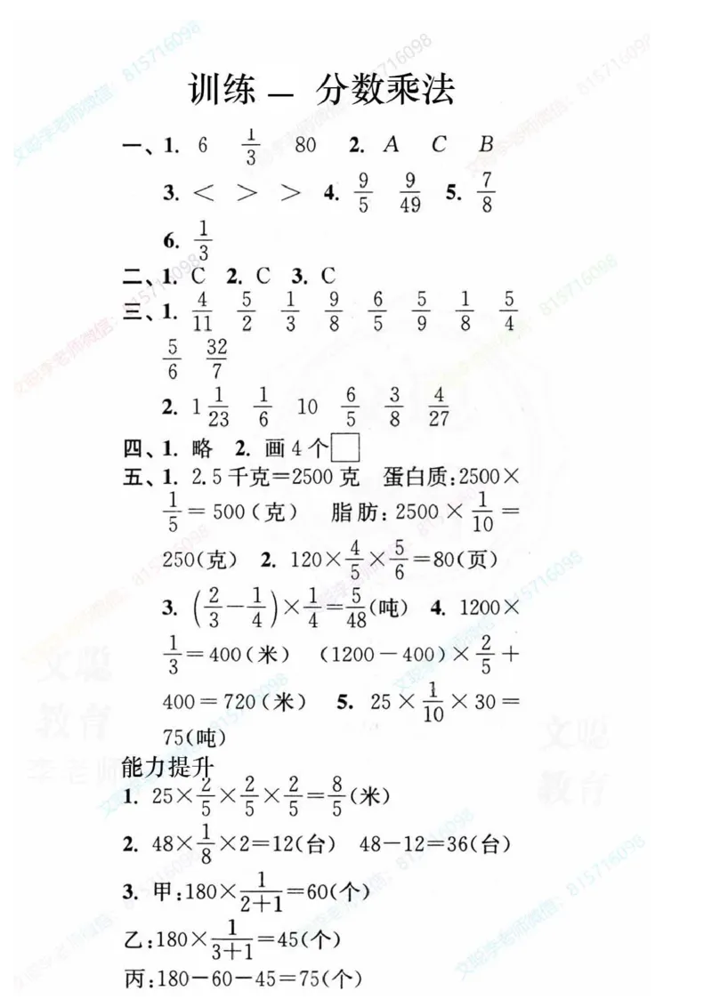 《六上数学期末复习7大专题_6年级上册同步教辅_6上数学_六上数学通用重点必背资料+专项》第5页预览