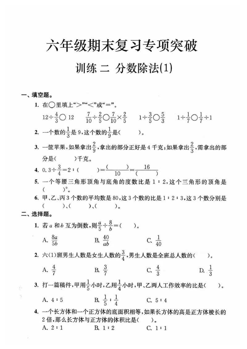 《六上数学期末复习7大专题_6年级上册同步教辅_6上数学_六上数学通用重点必背资料+专项》第6页预览