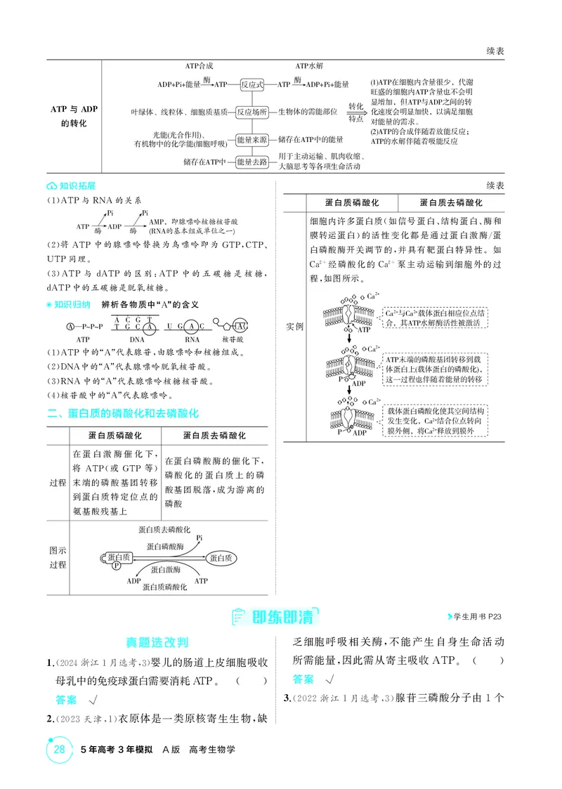 《2_精讲册-第5章细胞的能量供应和利用_2026版教学资源包_202653高考总复习A版_湖南版_2026版.湖南版.选考总复习.生物.5·3A版_第1部分分子与细胞_第5章细胞的能量供应和利用_4_PDF教参电子书》第4页预览