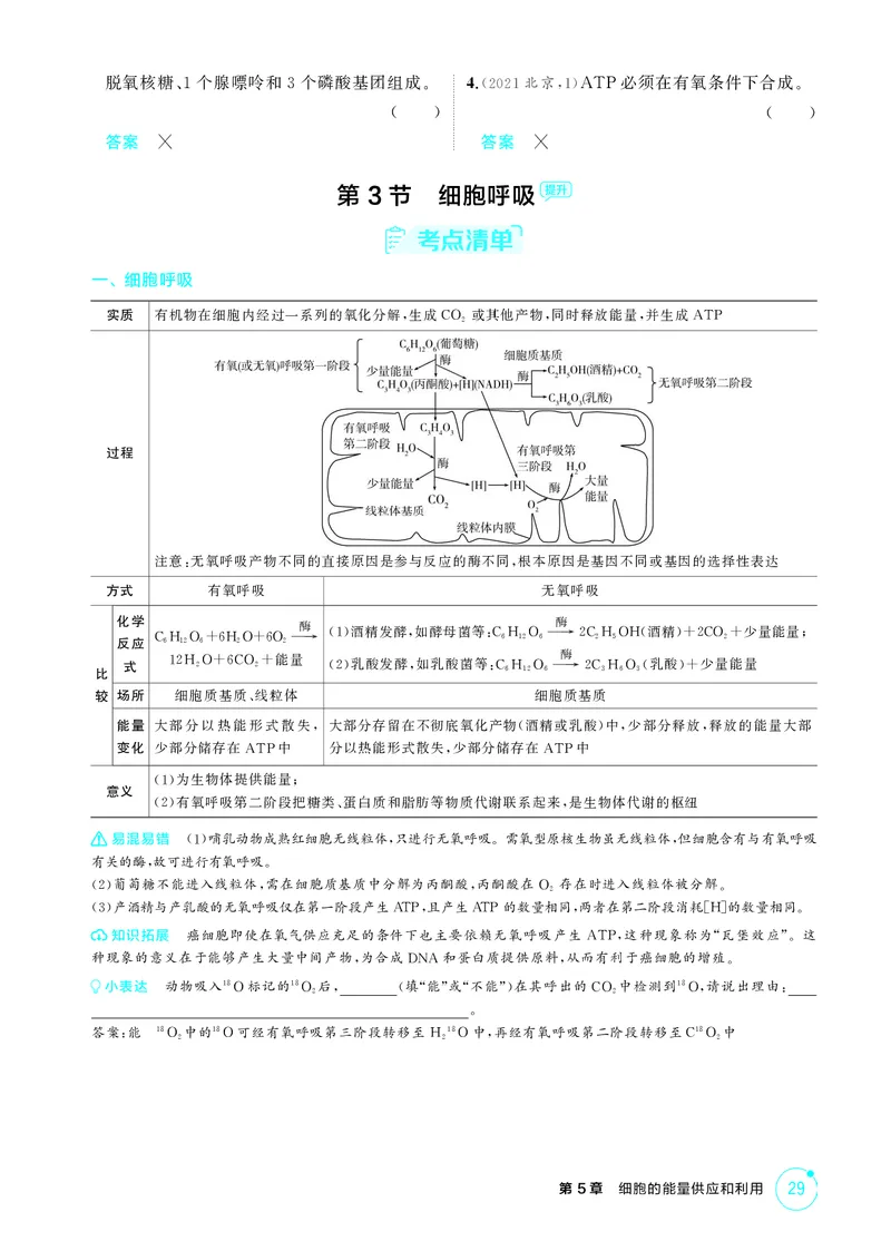 《2_精讲册-第5章细胞的能量供应和利用_2026版教学资源包_202653高考总复习A版_湖南版_2026版.湖南版.选考总复习.生物.5·3A版_第1部分分子与细胞_第5章细胞的能量供应和利用_4_PDF教参电子书》第5页预览