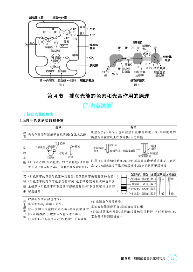 《2_精讲册-第5章细胞的能量供应和利用_2026版教学资源包_202653高考总复习A版_湖南版_2026版.湖南版.选考总复习.生物.5·3A版_第1部分分子与细胞_第5章细胞的能量供应和利用_4_PDF教参电子书》第9页预览