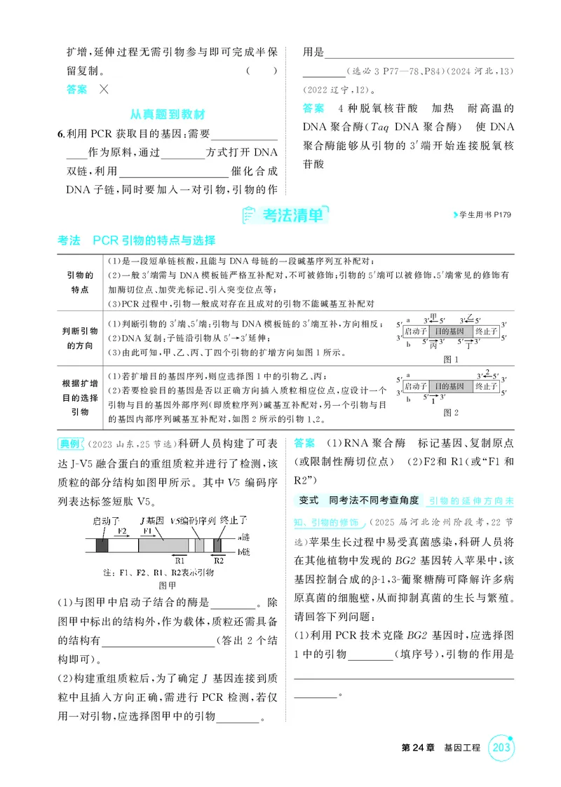 《2_精讲册第24章基因工程_2026版教学资源包_202653高考总复习A版_新高考_生物_教师A版2026年.新高考版.生物.53_第5部分生物技术与工程_第24章基因工程_4_PDF教参电子书》第5页预览