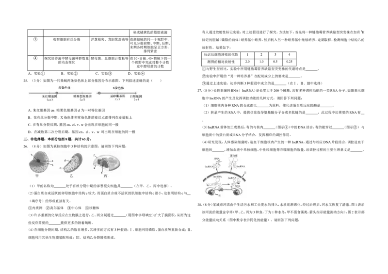 《2018年江苏省高考生物试卷(1)_高考一二三轮复习_生物_2027年高考生物专项_2008年-2026年生物高考真题-G427_2008-2020年高考_地方卷_江苏高考生物07-20_A3word版》第4页预览