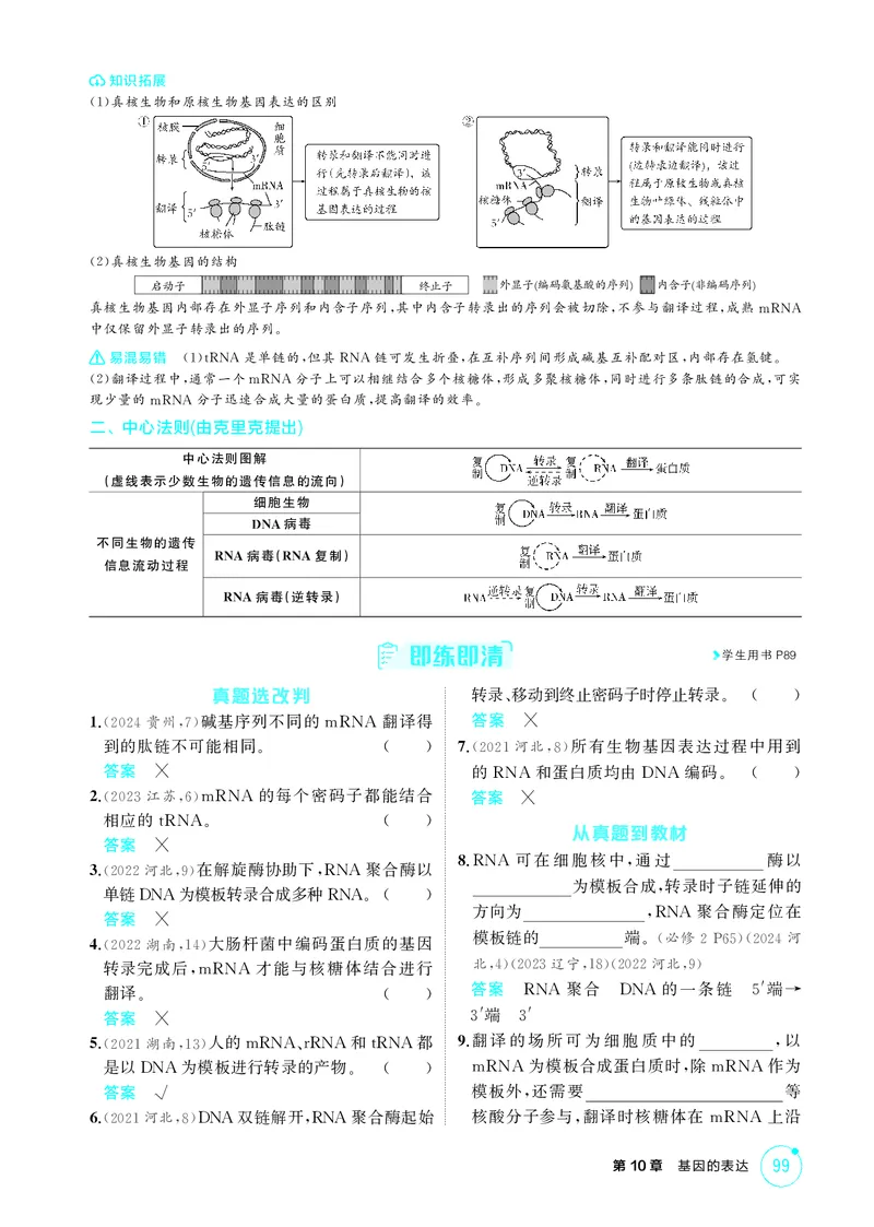 《2_精讲册第10章基因的表达_2026版教学资源包_202653高考总复习A版_新高考_生物_教师A版2026年.新高考版.生物.53_第2部分遗传与进化_第10章基因的表达_4_PDF教参电子书》第2页预览