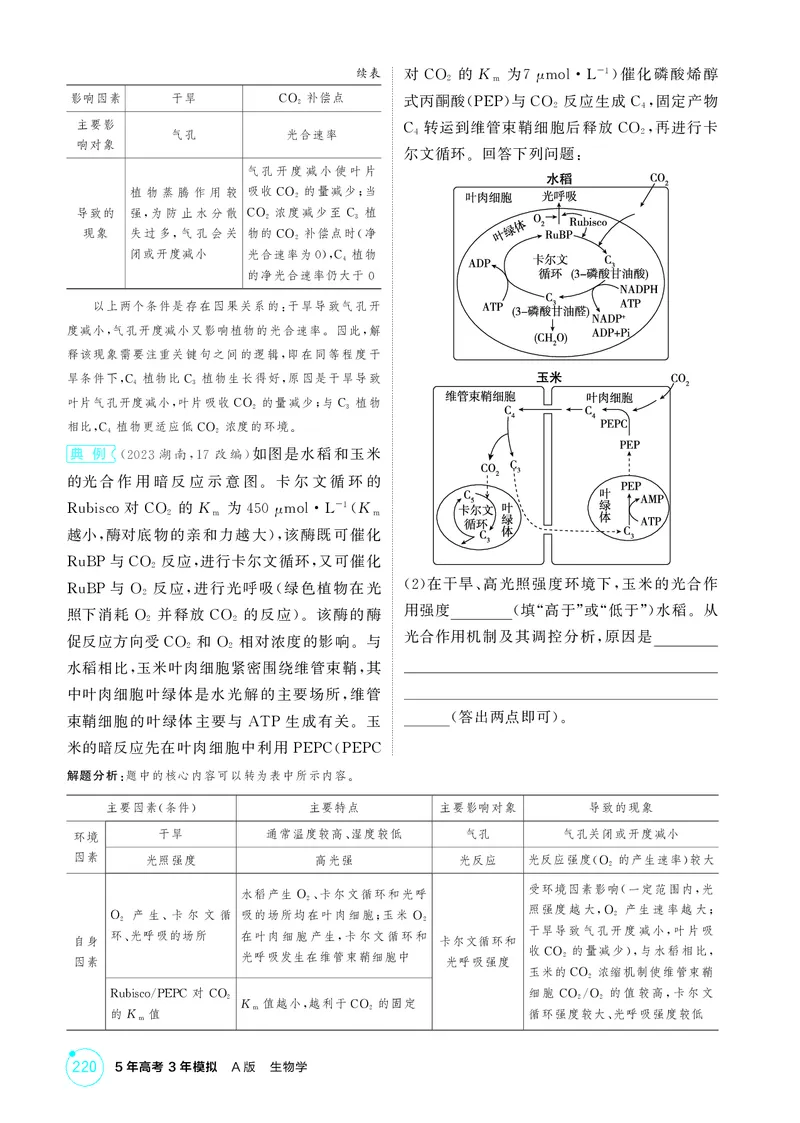 《2_精讲册微专题3精准分析与解释生物学问题_2026版教学资源包_202653高考总复习A版_新高考_生物_教师A版2026年.新高考版.生物.53_微专题_微专题3精准分析与解释生物学问题》第3页预览