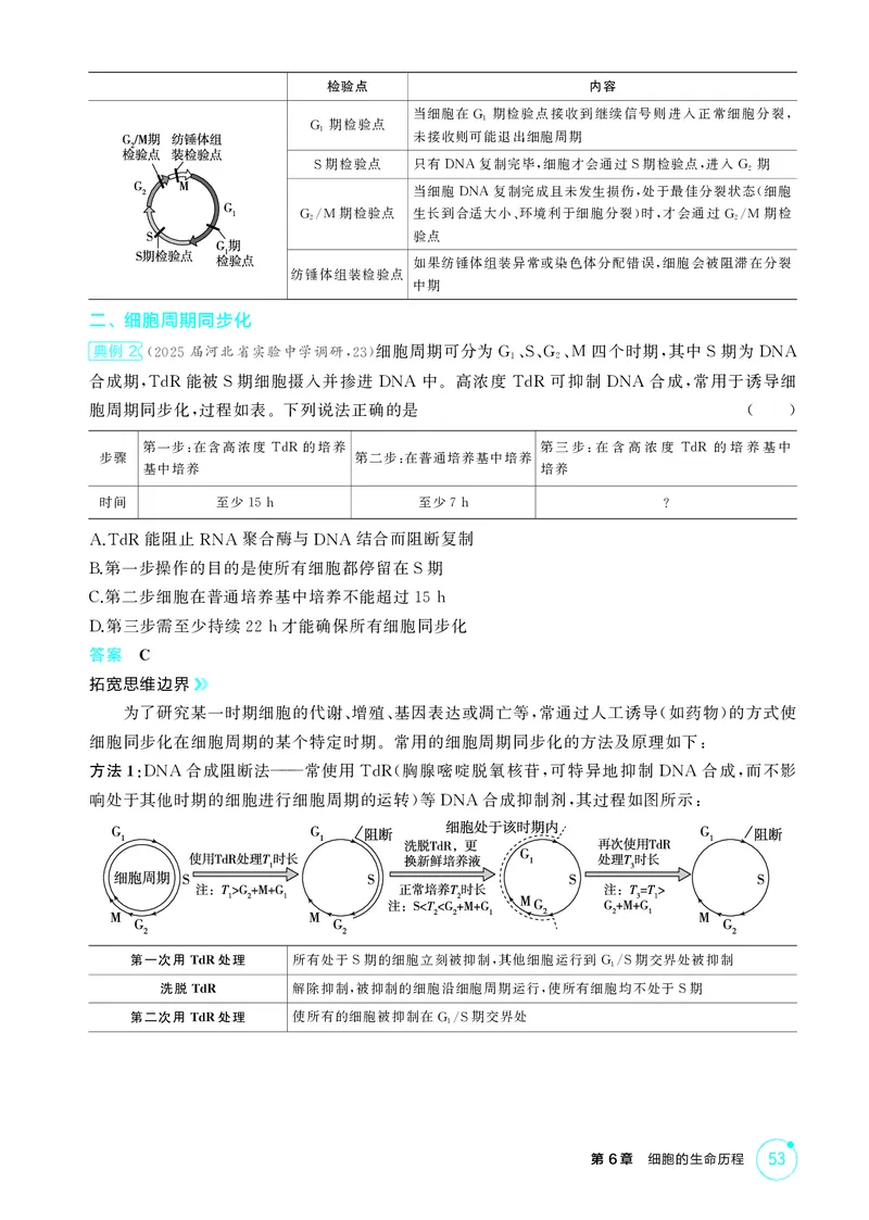 《2_精讲册第6章细胞的生命历程_2026版教学资源包_202653高考总复习A版_新高考_生物_教师A版2026年.新高考版.生物.53_第1部分分子与细胞_第6章细胞的生命历程_4_PDF教参电子书》第5页预览