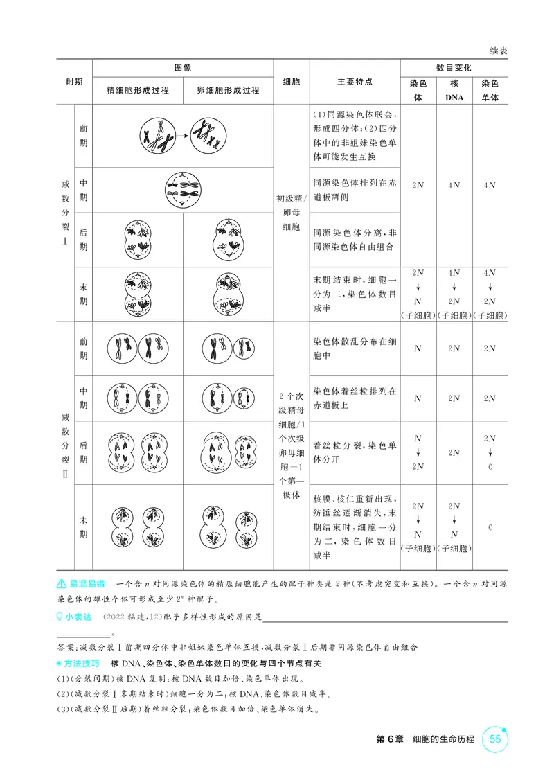 《2_精讲册第6章细胞的生命历程_2026版教学资源包_202653高考总复习A版_新高考_生物_教师A版2026年.新高考版.生物.53_第1部分分子与细胞_第6章细胞的生命历程_4_PDF教参电子书》第7页预览