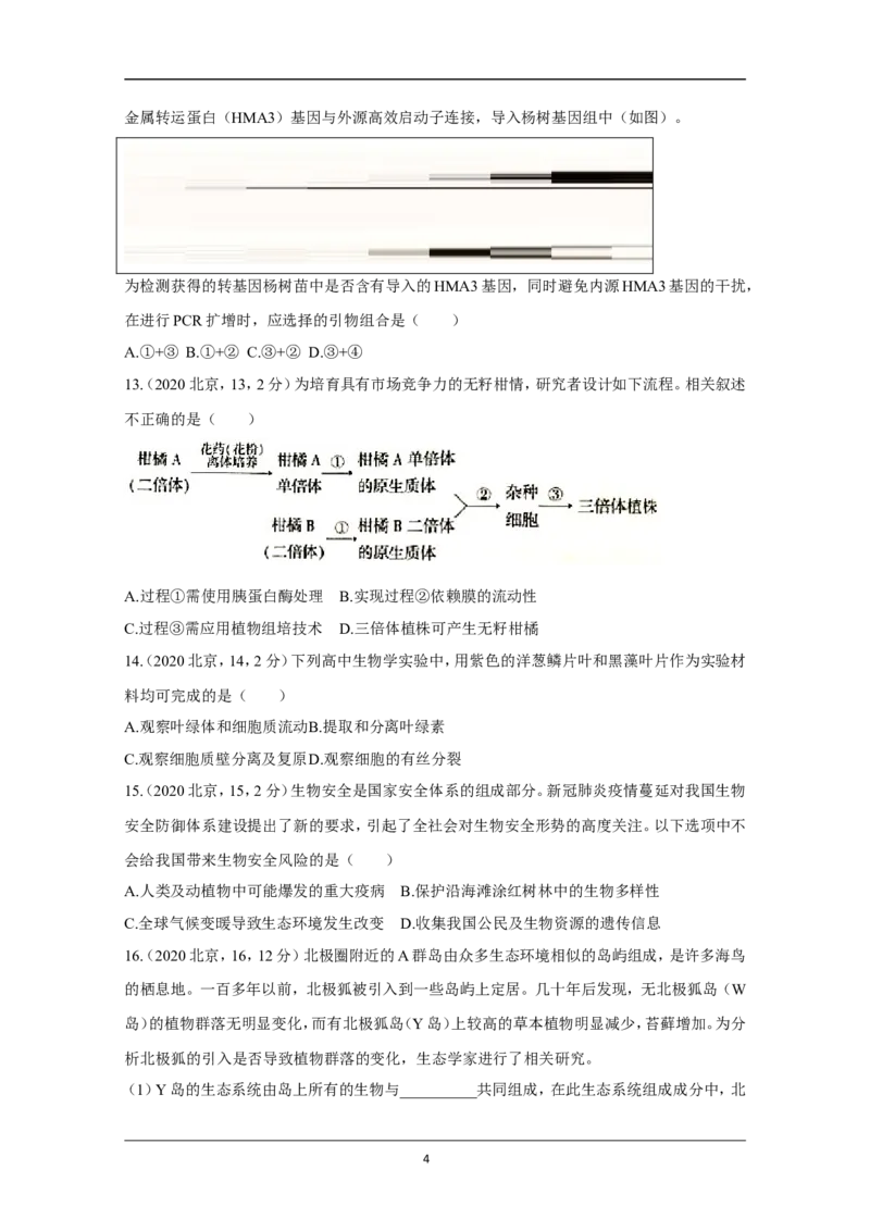 《2020年北京市高考生物试卷(原卷版)(1)_高考一二三轮复习_生物_2027年高考生物专项_2008年-2026年生物高考真题-G427_2008-2020年高考_地方卷_北京高考生物08-21_A4word版》第4页预览