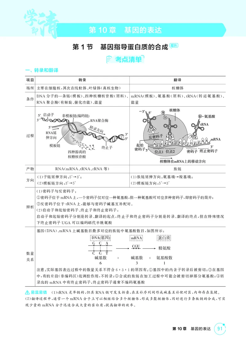 《2_精讲册-第10章基因的表达_2026版教学资源包_202653高考总复习A版_湖南版_2026版.湖南版.选考总复习.生物.5·3A版_第2部分遗传与进化_第10章基因的表达_4_PDF教参电子书》第1页预览