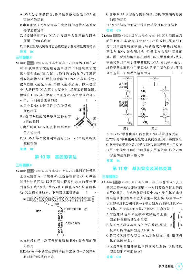 《1_《多项选择题不定项选择题》PDF_2026版教学资源包_202653高考总复习A版_新高考_生物_教师A版2026年.新高考版.生物.53_多项选择题不定项选择题_2_PDF教参电子书》第5页预览
