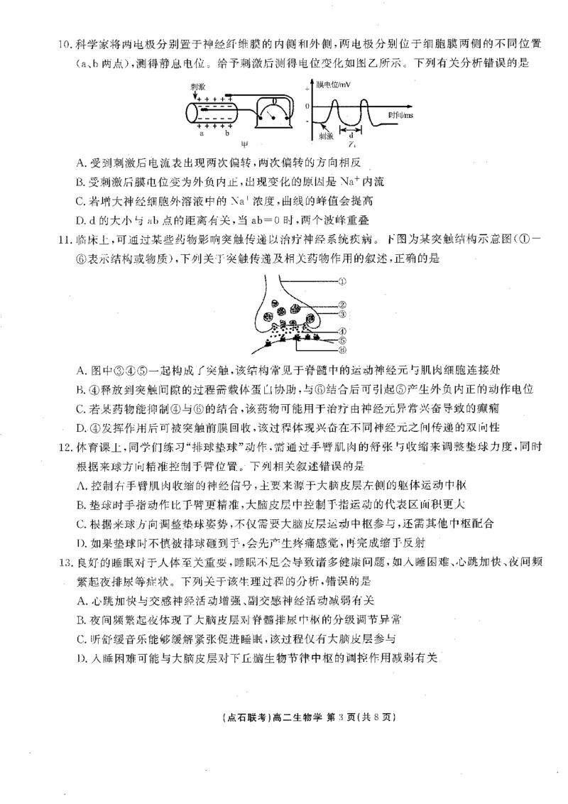 《2025-2026点石联考高二上10月月考生物试卷_10.2_25-26学年点石联考高二10月月考全科试卷及答案_25-26学年点石联考高二10月月考全科试卷及答案_25-26学年点石联考高二10月月考全科试卷及答案》第3页预览