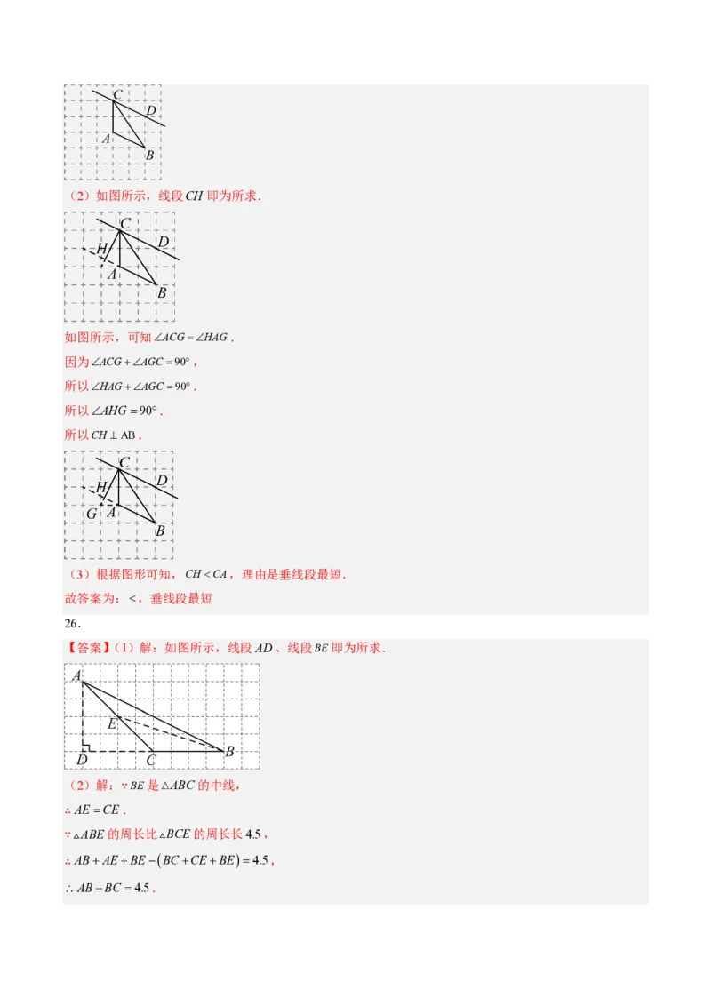 《专题01与三角形有关的线段（专项训练）（答案版）_2026秋初中教辅合集_2027学科网&_2026秋《同步备课系列》8上数学_第十三章三角形_单元复习_专题01与三角形有关的线段（专项训练）》第5页预览
