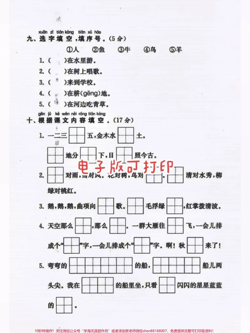 《2022期中考试卷单元测试来啦。#一年级重点知识归纳#小学语文#生字词#一年级拼音》第2页预览