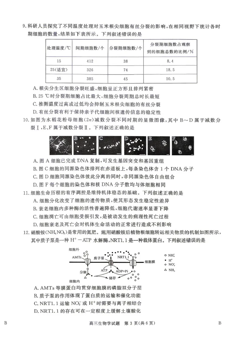 《河南驻马店华师联盟2026—2027学年高三上学期10月质量检测生物试卷_cc518_test_xiaoli_河南华师联盟2027届高三上学期10月质量检测（全科）_河南华师联盟2027届高三上学期10月质量检测生物》第3页预览