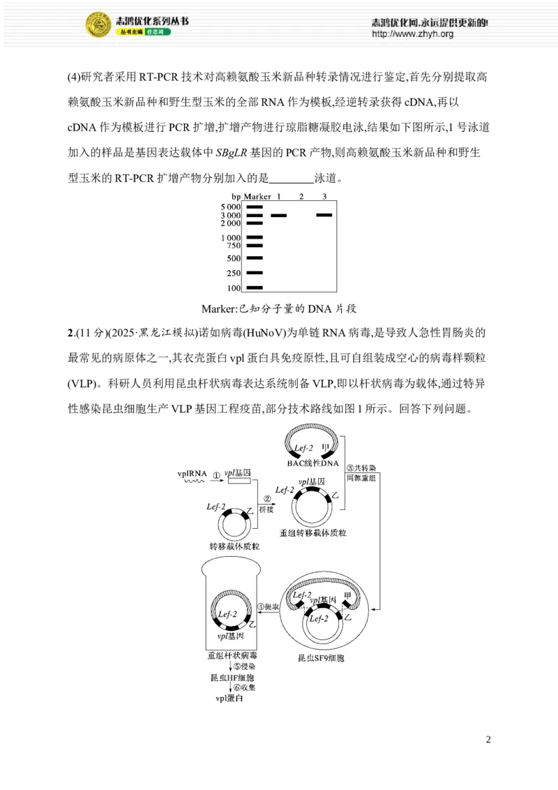 《6.生物技术与工程_2026版高中《二三轮复习+冲刺复习》_高考总复习优化设计二轮用书生物课后习题Word_课后习题_考前增分专练_大题分析与表达练》第2页预览