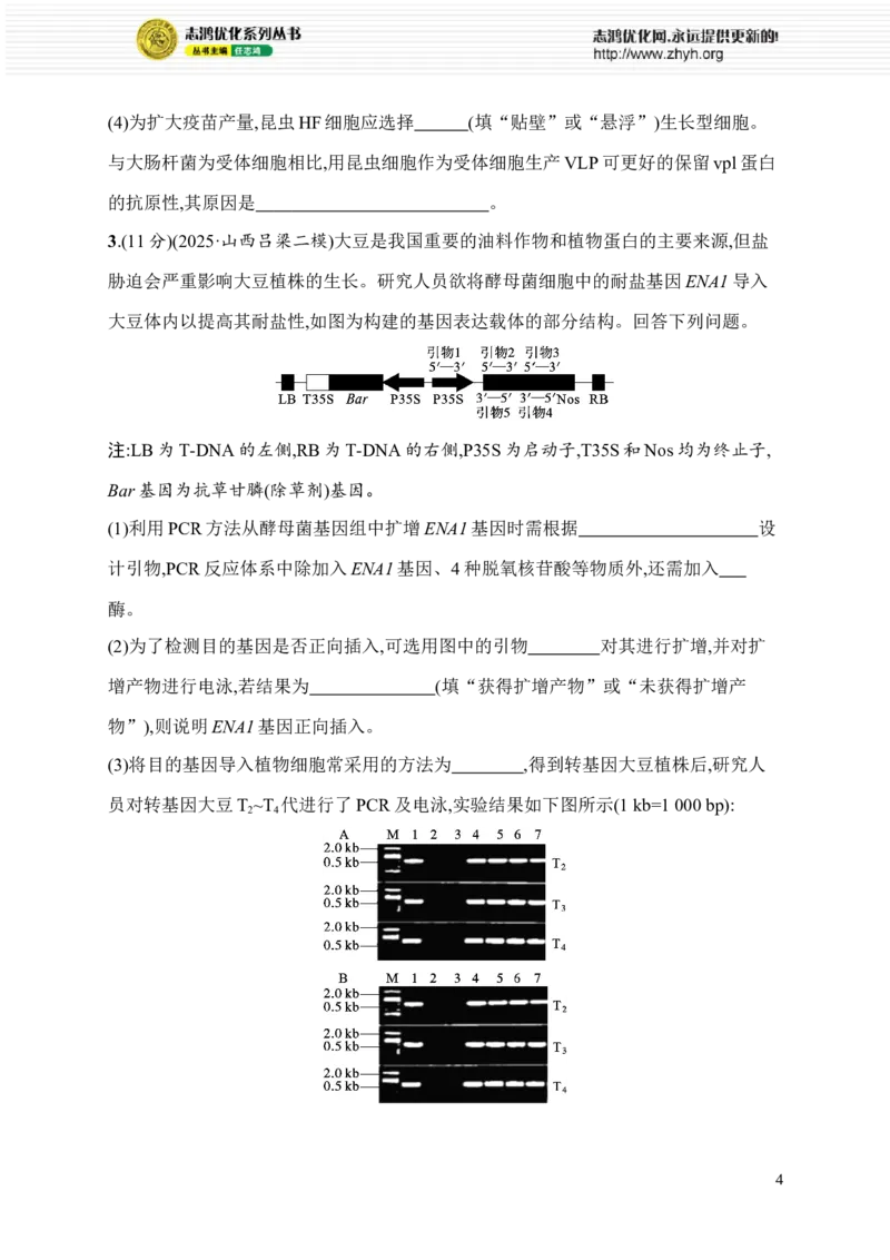 《6.生物技术与工程_2026版高中《二三轮复习+冲刺复习》_高考总复习优化设计二轮用书生物课后习题Word_课后习题_考前增分专练_大题分析与表达练》第4页预览