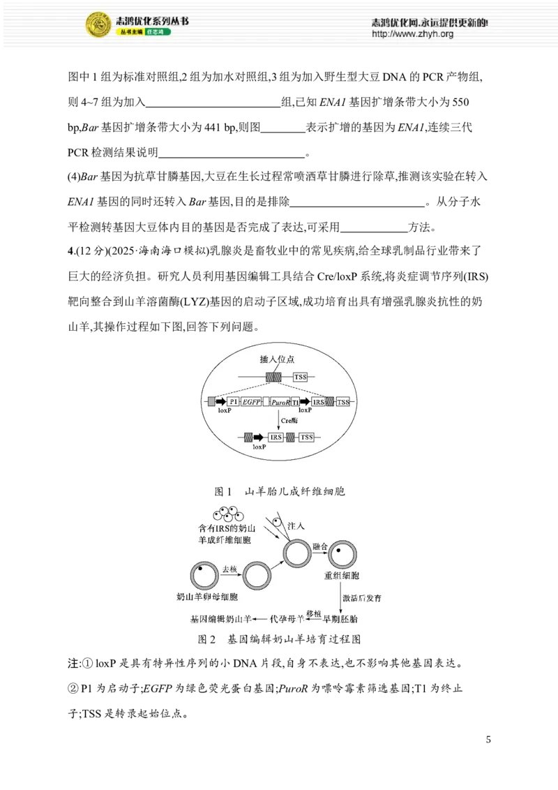 《6.生物技术与工程_2026版高中《二三轮复习+冲刺复习》_高考总复习优化设计二轮用书生物课后习题Word_课后习题_考前增分专练_大题分析与表达练》第5页预览