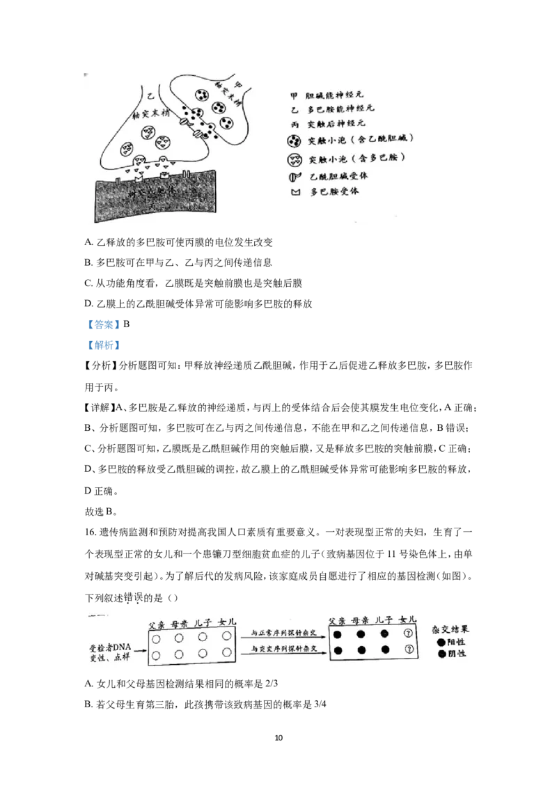 《2022年高考真题——生物（广东卷）Word版含解析(1)_高考一二三轮复习_生物_2027年高考生物专项_2008年-2026年生物高考真题-G427_2022年高考_2022年广东卷-生物》第10页预览