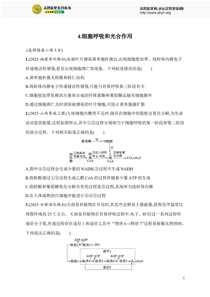《4.细胞呼吸和光合作用_2026版高中《二三轮复习+冲刺复习》_高考总复习优化设计二轮用书生物课后习题Word_课后习题_考前增分专练_知识对点小题练》第1页预览