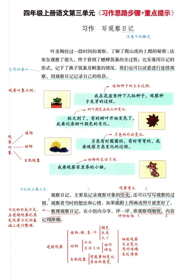 《四年级上册语文1-8单元《习作思维提纲重点提示优秀经典范文》_4年级上册同步教辅_4上-语文_四上语文作文》第5页预览