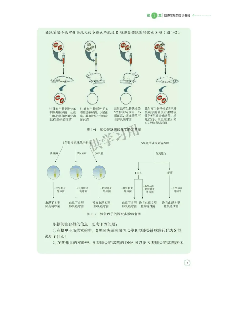 《2019北师大版生物必修二_初高中资料库_高中资料库（转存避免链接过期失效）_高中生物》第7页预览