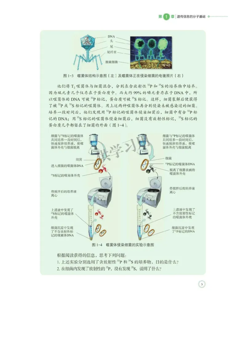 《2019北师大版生物必修二_初高中资料库_高中资料库（转存避免链接过期失效）_高中生物》第9页预览