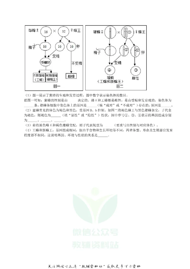 《2019湖南省株洲市中考生物真题及答案_初高中资料库_初中资料库（转存避免链接过期失效）_初中生物》第6页预览