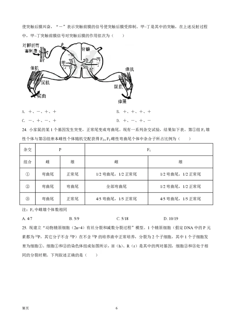 《2021年浙江省高考生物1月（原卷版）(1)_高考一二三轮复习_生物_2027年高考生物专项_2008年-2026年生物高考真题-G427_2008-2020年高考_地方卷_浙江高考生物08-21_A4word版_PDF版（赠送）》第6页预览
