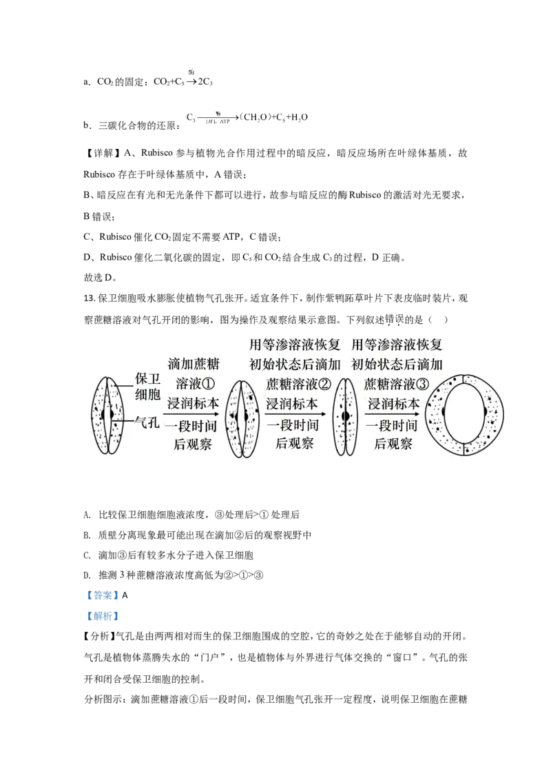 《2021年高考真题——生物（广东卷）(解析版）(1)_高考一二三轮复习_生物_2027年高考生物专项_2008年-2026年生物高考真题-G427_2021年高考_2021新高考广东生物卷》第8页预览