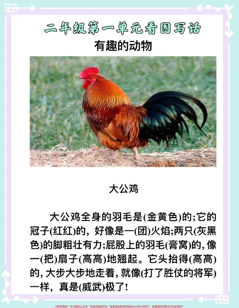 《一升语文第一单元有趣的动物看图写话范本。#看图写话#一升二#语文#作文素材#作文》第2页预览