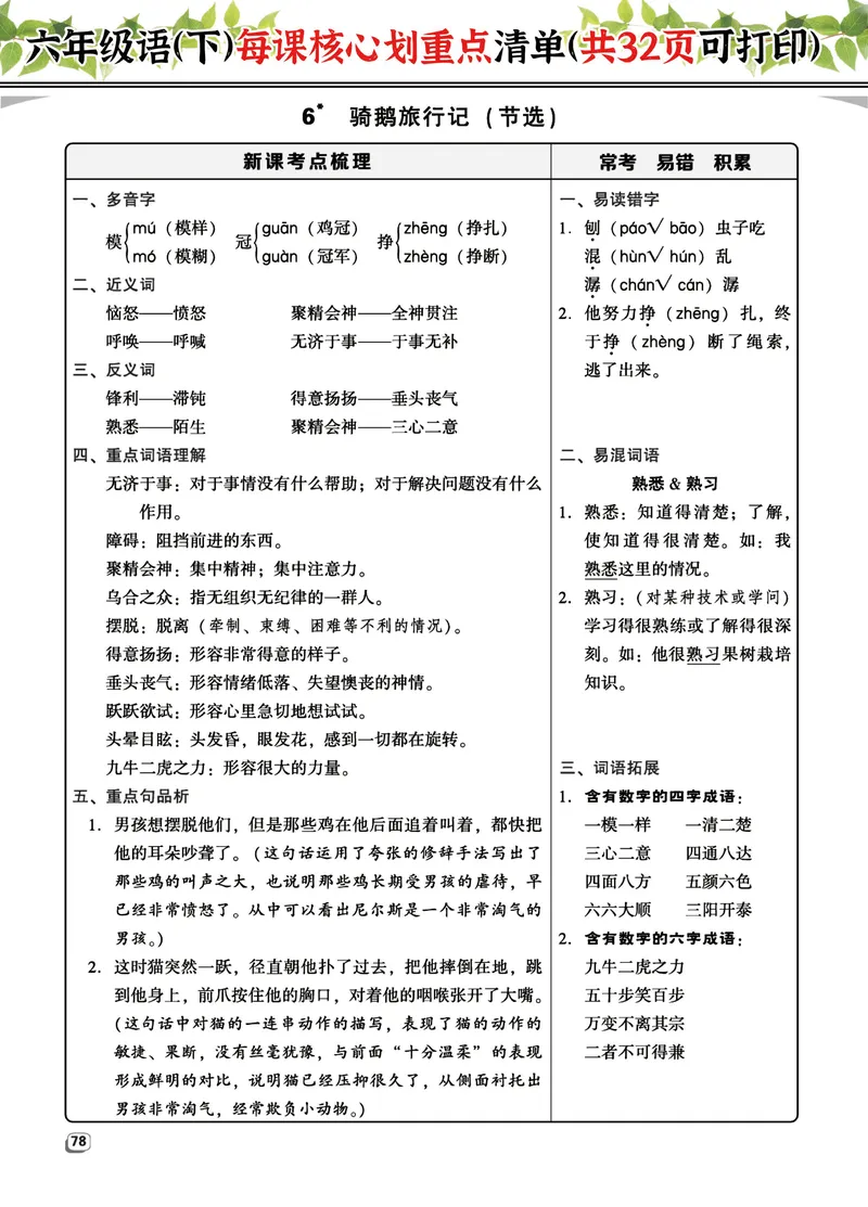 《六（下）语文每课核心划重点清单：共32页囊括所有的考点_6年级下册同步教辅_6下-语文_六下语文重点必背资料》第10页预览