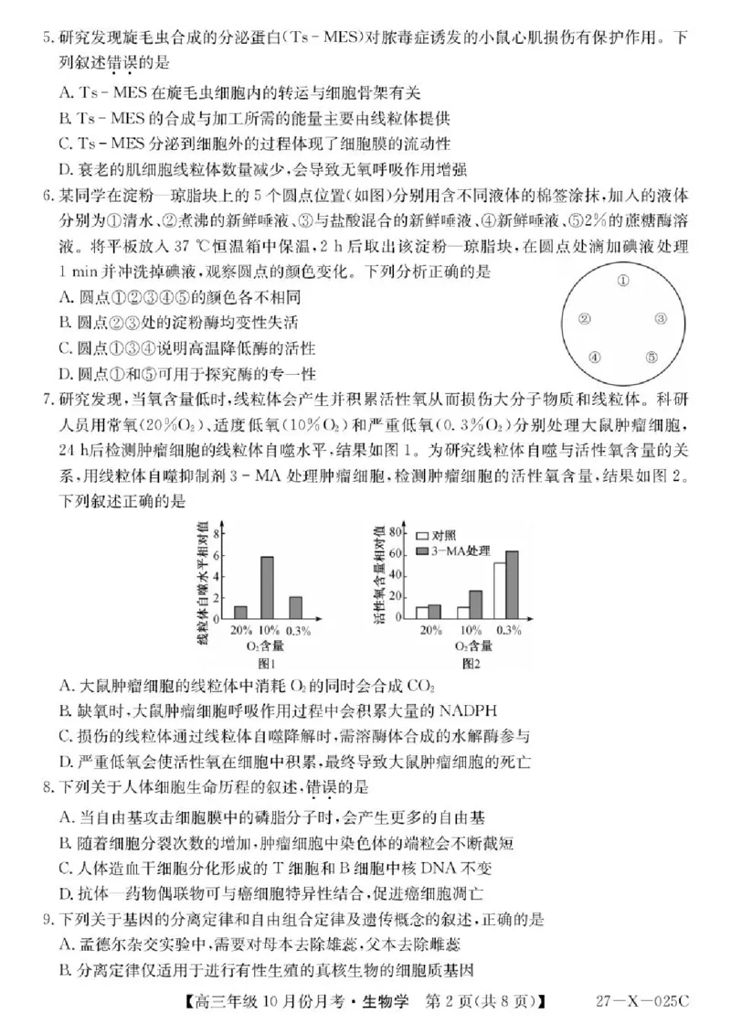 《黑龙江省龙东十校联盟2026-2027学年高三上学期10月月考生物试卷_cc518_test_xiaoli_黑龙江省龙东十校联盟2026-2027学年高三上学期10月月（全科）》第2页预览