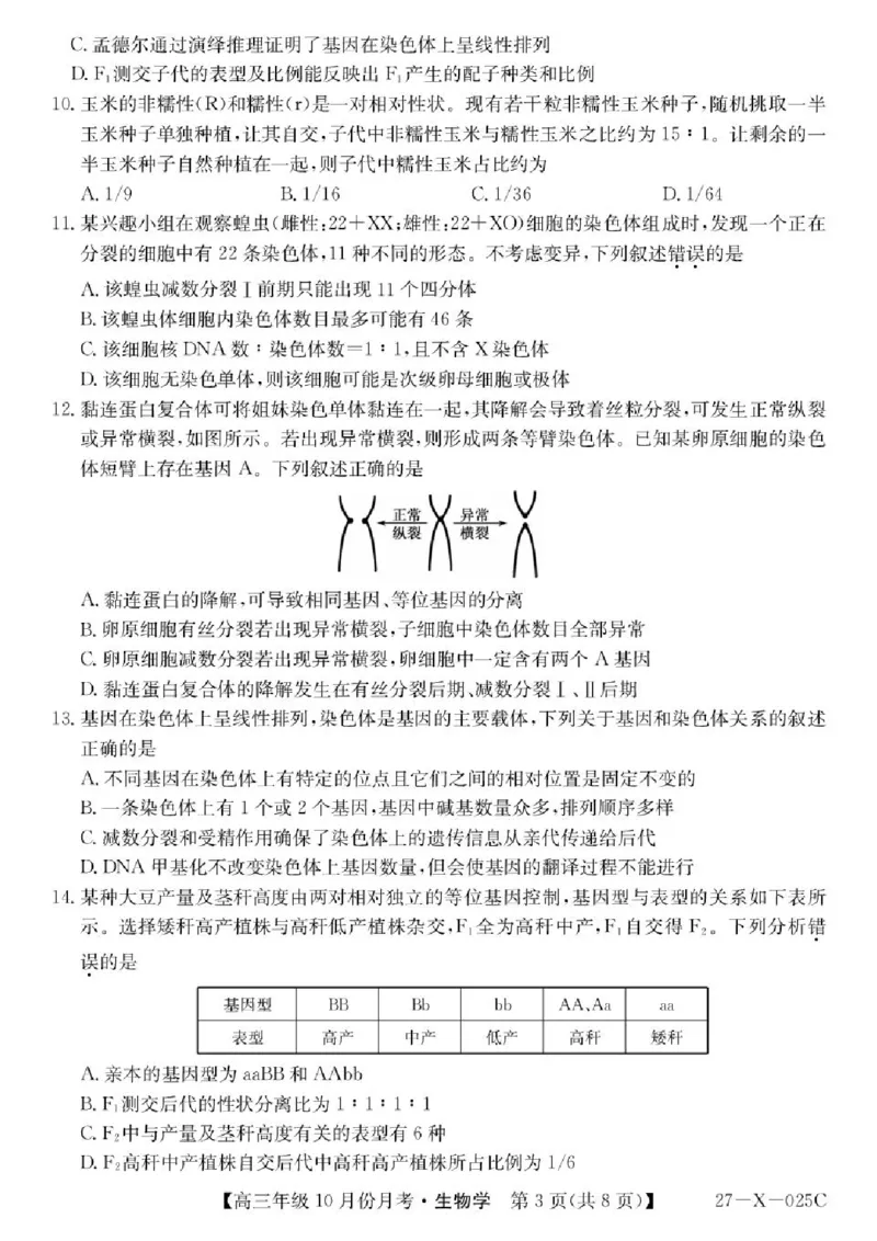 《黑龙江省龙东十校联盟2026-2027学年高三上学期10月月考生物试卷_cc518_test_xiaoli_黑龙江省龙东十校联盟2026-2027学年高三上学期10月月（全科）》第3页预览