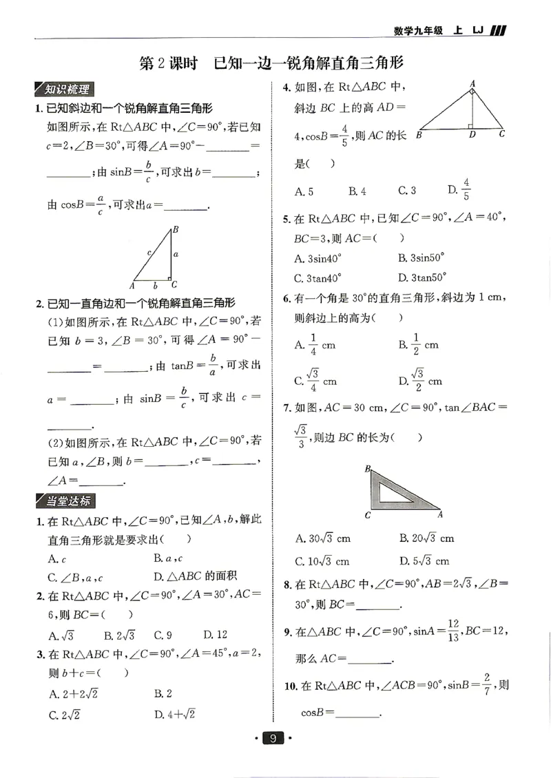 《26秋鲁教版五四制九上数学同行学案巩固练习_2026秋初中教辅合集_2027《同行学案》9上数学（鲁教）》第10页预览