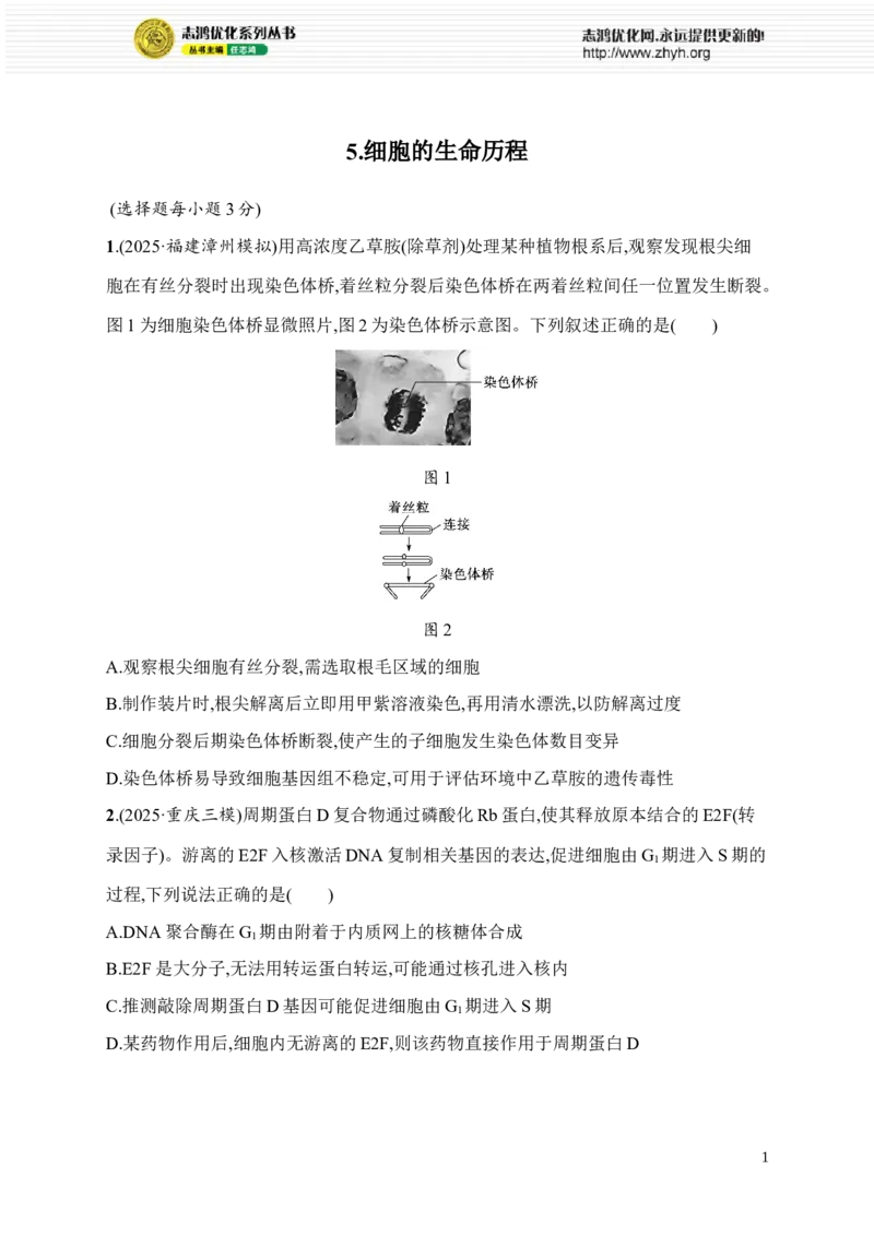 《5.细胞的生命历程_2026版高中《二三轮复习+冲刺复习》_高考总复习优化设计二轮用书生物课后习题Word_课后习题_考前增分专练_知识对点小题练》第1页预览